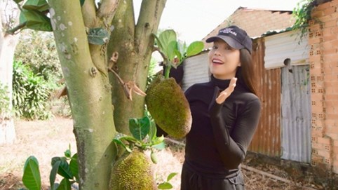 Trà Ngọc Hằng hé lộ “tài sản” quý giá trong Vlog mới