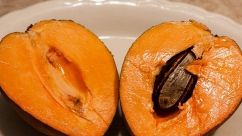 Những loại trái cây đắt nhất Thái Lan này có gì đặc biệt, quả đắt nhất giá 1,1 tỷ VND