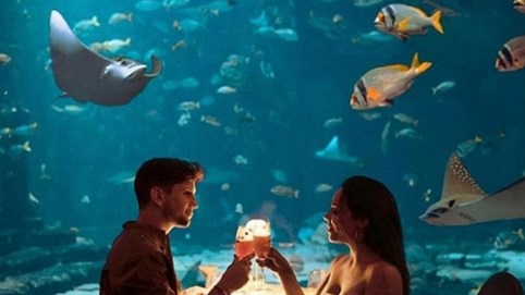 13 khách sạn độc nhất vô nhị trên thế giới, ai cũng mơ ước được ở một lần