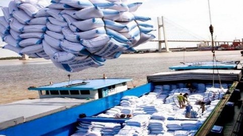 Thủ tướng Chính phủ đồng ý cho phép xuất khẩu gạo trở lại trong tháng 4/2020