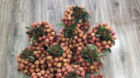 Dân mạng Việt khoe những trái vải bán trong siêu thị Nhật, 120.000 đồng được mỗi 7 quả mà vẫn 