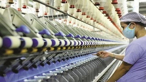 Doanh nghiệp bán lẻ tại Việt muốn đa dạng hóa hoạt động ở nước ngoài