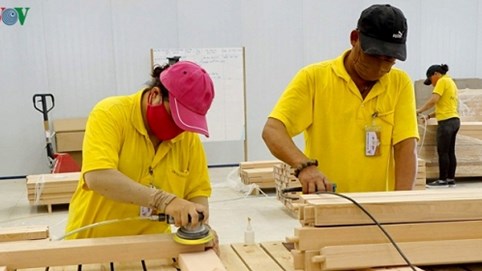 Tăng trưởng xuất khẩu của ngành gỗ Việt Nam năm 2020 có thể bằng 0%