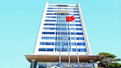 HAGL bị phạt và truy thu thuế 11 tỷ đồng