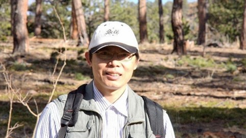 Bộ NN&PTNT chính thức lên tiếng về cây đàn hương Ấn Độ