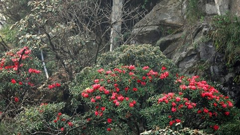 30/4 này, phải khám phá một Tây Bắc thật khác lạ