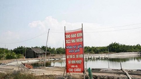 Bất động sản Cần Giờ vắng vẻ lạ thường