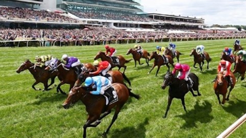 Đề xuất đặt cược bóng đá, đua ngựa qua ví điện tử, tài khoản điện thoại