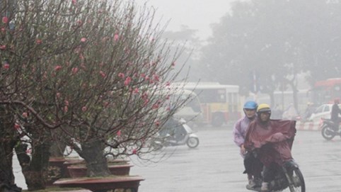 Bắc Bộ rét đậm, có nơi rét hại dịp Tết Nguyên Đán