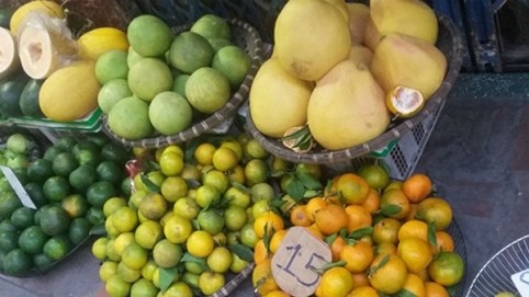 Sự thật về cam Cao Phong giá rẻ tràn lan trên phố