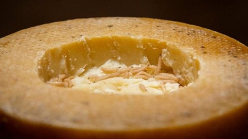 Hai món nổi tiếng Việt Nam vào bảo tàng đồ ăn kinh dị thế giới