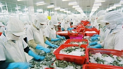 Triển vọng gỡ “thẻ vàng” cho thủy sản