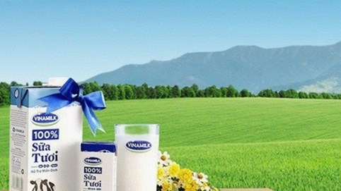 Vinamilk sẽ chi 2.600 tỷ đồng trả cổ tức vào 26/6