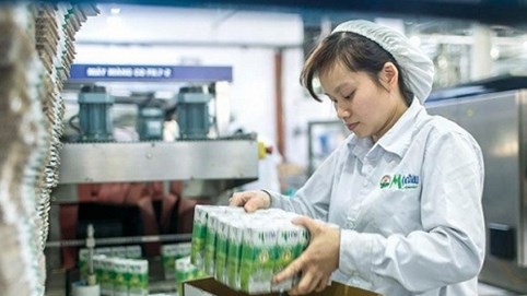 Vinamilk: UBCKNN đã thông qua kế hoạch chào mua 46,68% cổ phần GTN