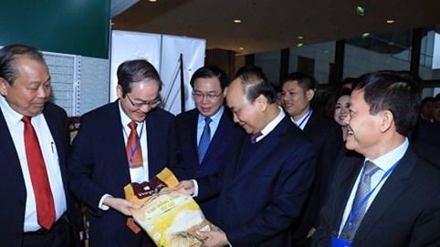 Hapro tập trung nguồn lực sau cổ phần hoá