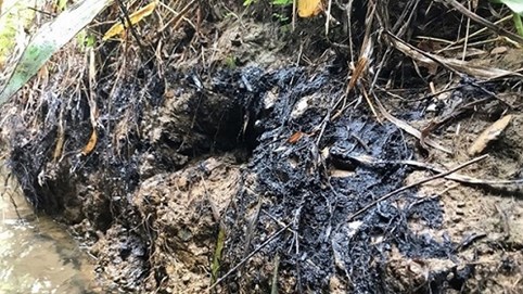 Vụ xả thải nước sông Đà: Chủ tịch công ty có dầu thải nói gì?