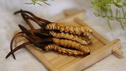 Giới nhà giàu chuộng mua các loại quà biếu Tết này, món cuối tới cả chục triệu đồng/kg