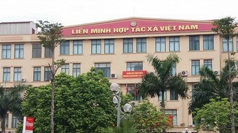 Vinagimex sử dụng con dấu trái luật để XKLĐ: Cơ quan chức năng “đá bóng”, người khiếu nại mệt mỏi?