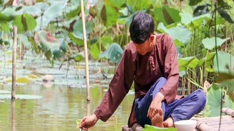 Độc đáo đàn cá 'chảnh', ăn phải đút bằng muỗng