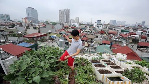 Hà Nội: Sản xuất thực phẩm của thành phố mới chỉ đáp ứng 60% nhu cầu tiêu dùng