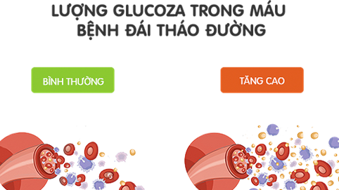 Chế độ ăn uống và bệnh đái tháo đường