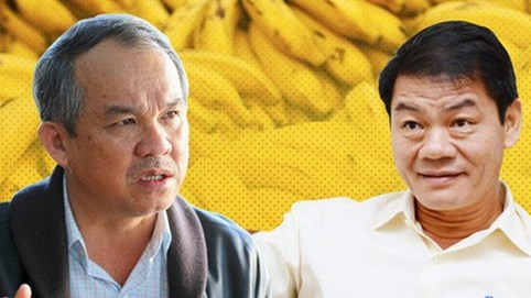 Sau trái phiếu chuyển đổi, Thaco sẽ chi tiếp nghìn tỷ mua cổ phiếu HAGL Agrico