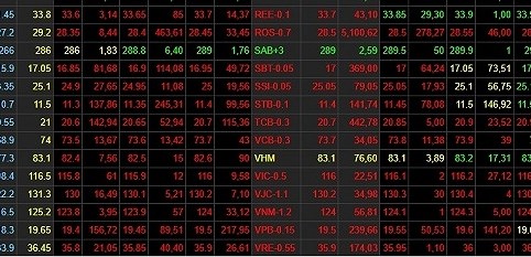 Vợ chồng đại gia Trần Đình Long nắm khối tài sản 