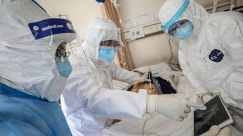 SARS-CoV-2 tiến hóa thành 2 chủng khác nhau, phát hiện nhóm người khó bị Covid-19 tấn công