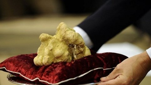 Những món ăn xa xỉ nhất hành tinh: Loại nấm được ví là “kim cương đen” chỉ giới siêu giàu mới có cơ hội nếm thử