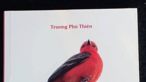 Trách nhiệm của người trẻ trước cuộc sống hiện đại