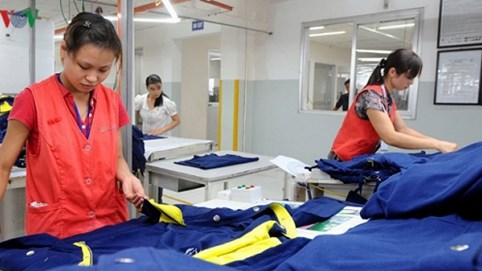 Tỷ lệ hàng Việt Nam ở thị trường các nước tham gia CPTPP còn thấp