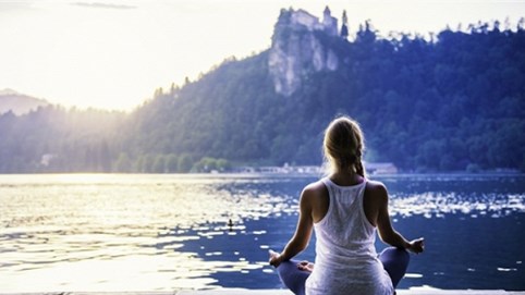 Cách giải thoát các CEO khỏi nỗi sợ sụp đổ trong thời kỳ khủng hoảng