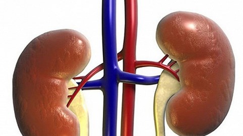 BS nêu nguyên nhân gây yếu thận và cách khắc phục bạn nên áp dụng sớm để không 