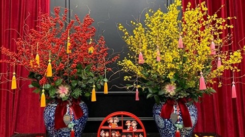 Săn lùng đào đông đỏ, mai Mỹ chục triệu đồng trưng tết Kỷ Hợi