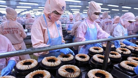 Hội đồng tư vấn chính sách tài chính tiền tệ quốc gia: Việt Nam chưa có dấu hiệu rủi ro về ổn định kinh tế vĩ mô