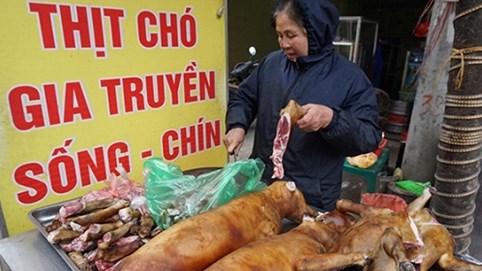 Hà Nội muốn người dân bỏ thói quen ăn thịt chó