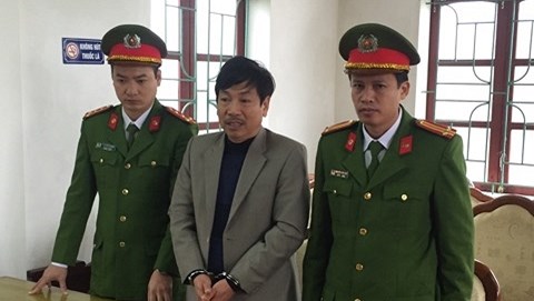 Hà Tĩnh: Vụ chặt phá hàng chục hecta rừng, bắt một giám đốc doanh nghiệp