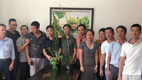 Nóng 24h qua: 2 cây lan giá 3,5 tỷ đồng có gì đặc biệt?