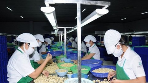 Xuất khẩu hàng Việt Nam sang Đông Âu còn khiêm tốn, chỉ 6,5 tỉ USD