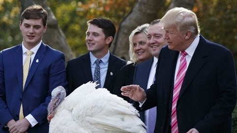 Lễ tạ ơn của Mỹ, bạn đã biết về nó bao nhiêu?