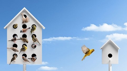 8 cách để quản lý nhân viên hiệu quả khi phải làm việc từ xa