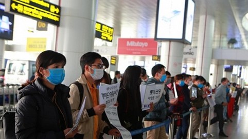 Xuất khẩu khẩu trang qua Tân Sơn Nhất tăng mạnh