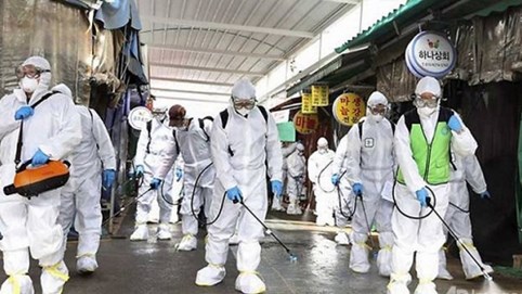 WHO cảnh báo nguy cơ đại dịch toàn cầu do virus corona