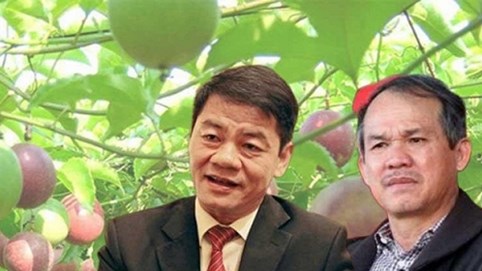 Lý do bầu Đức liên tục bán tài sản