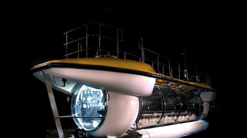 Giá vé tham quan đáy biển bằng tàu ngầm của tỷ phú Phạm Nhật Vượng khoảng bao nhiêu?