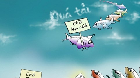 Thiệt hại kép từ việc ồ ạt cấp phép hãng hàng không