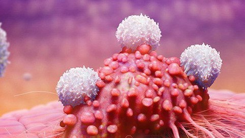 Biện pháp trị ung thư đạt giải Nobel ứng dụng ở Việt Nam ra sao?