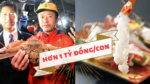 Con cua tuyết bạc tỷ: Tưởng đắt nhưng lại rất xứng đáng với quy trình đánh bắt gian nan, được mệnh danh “báu vật của biển mùa đông”