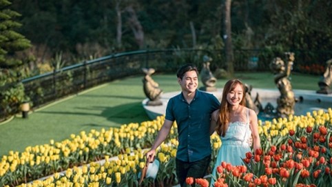 “Đu đưa” ở những điểm đến thú vị nhất miền Trung dịp Tết này