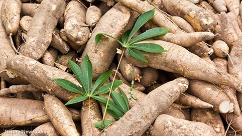 5 loại thực phẩm không nên ăn sống: Người Việt hay ăn loại thứ 4, nên từ bỏ ngay